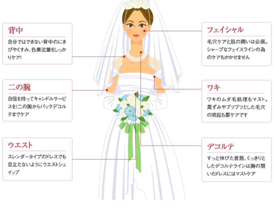 ブライダルエステを受けるパーツ